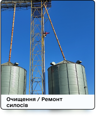 Зображення з портфоліо.