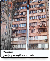 Зображення з портфоліо.